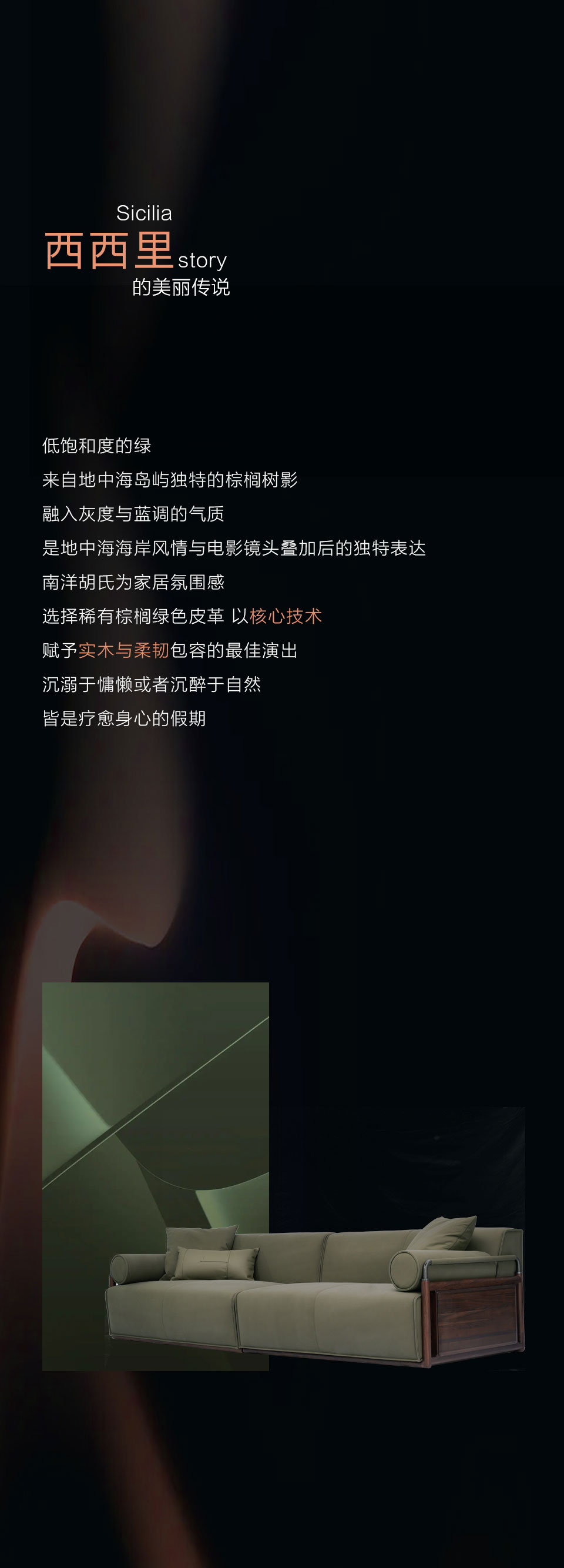 维蓝新品推广-长的_04.jpg